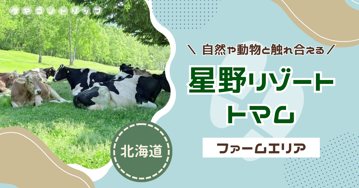 【星野リゾート トマム】日帰りでも楽しい！自然や動物と触れ合える『ファームエリア』が最高すぎた