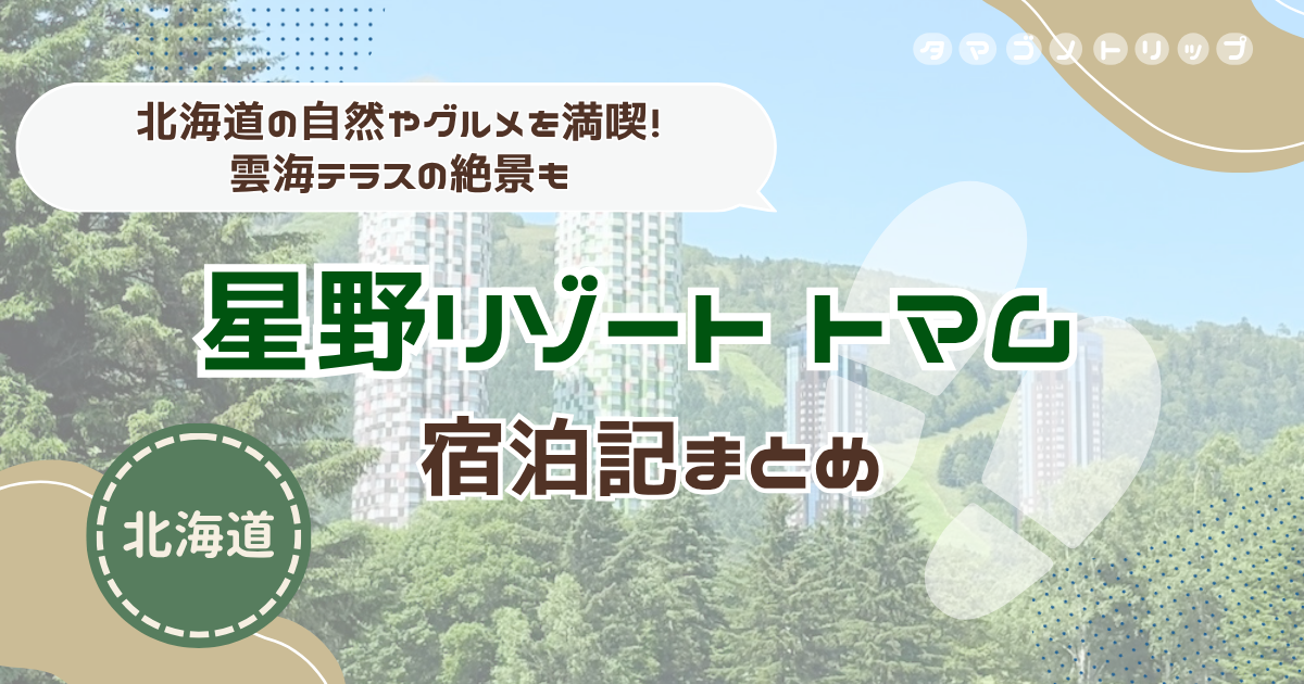 【星野リゾート トマム】宿泊記まとめ！『トマム ザ・タワー』に泊まって気になった点や口コミも紹介◎